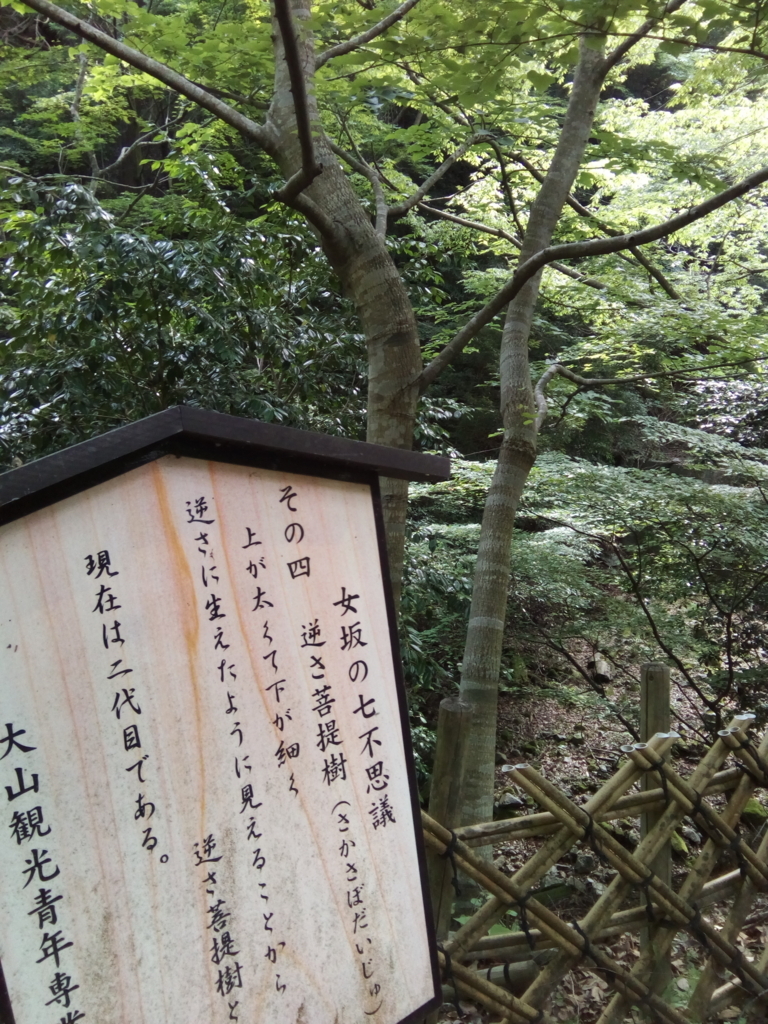 f:id:sanori:20170618220033j:plain
