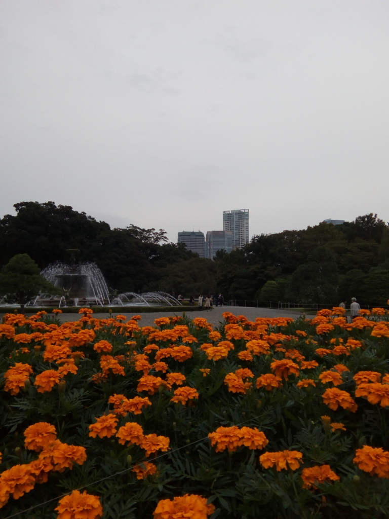 f:id:sanori:20171104210139j:plain