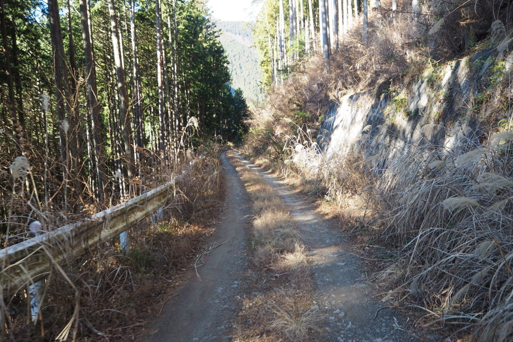f:id:sanori:20171226235911j:plain