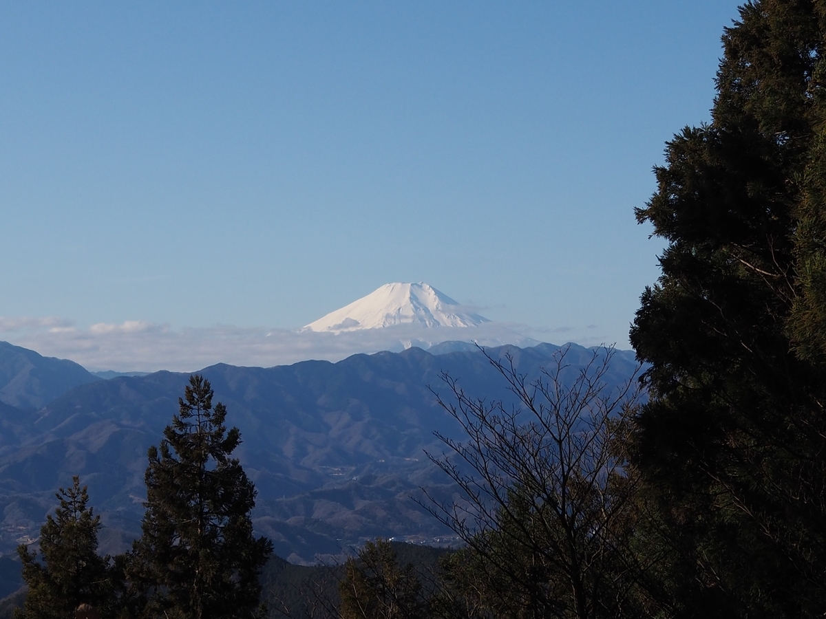 景信山　高尾山　縦走　親子　