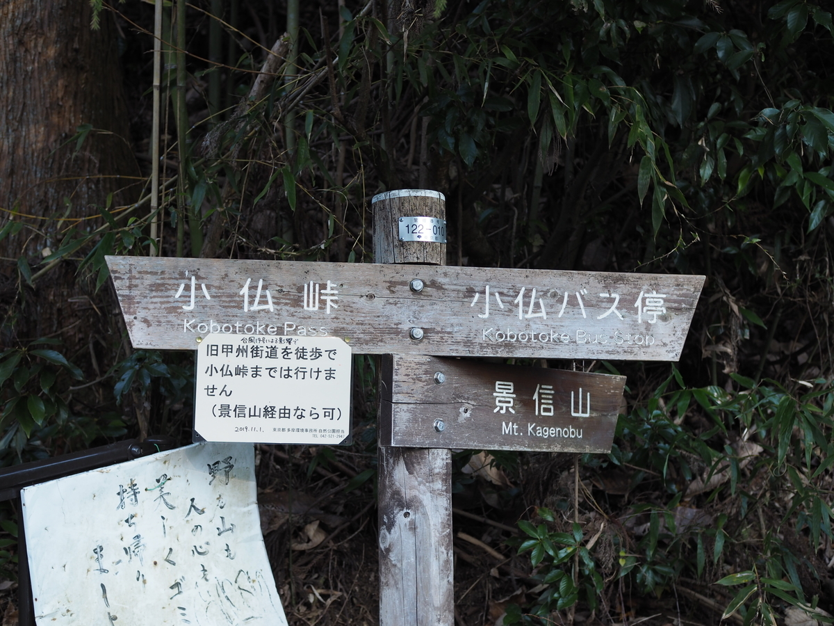 景信山　高尾山　縦走　親子