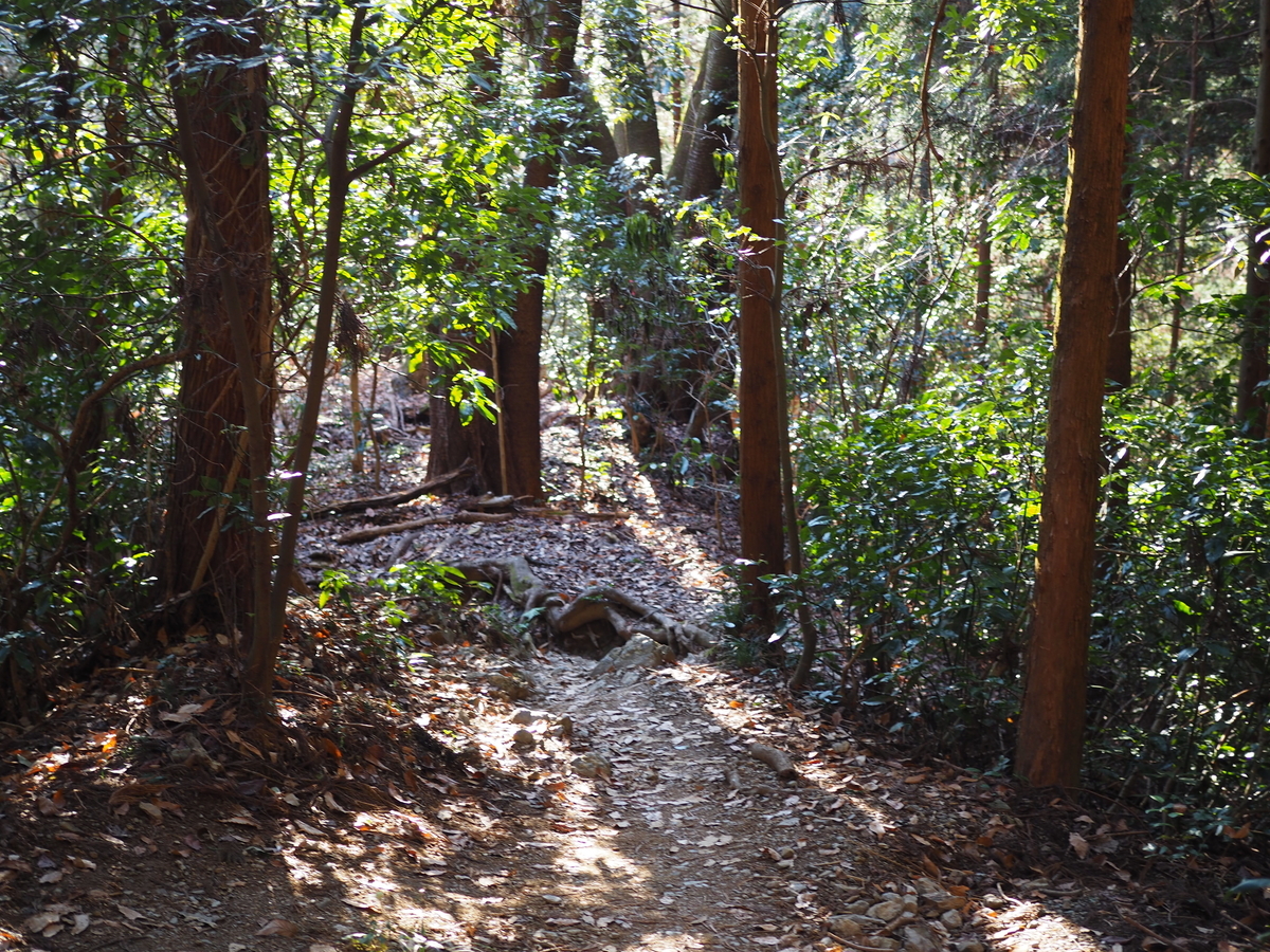 景信山　高尾山　縦走　親子