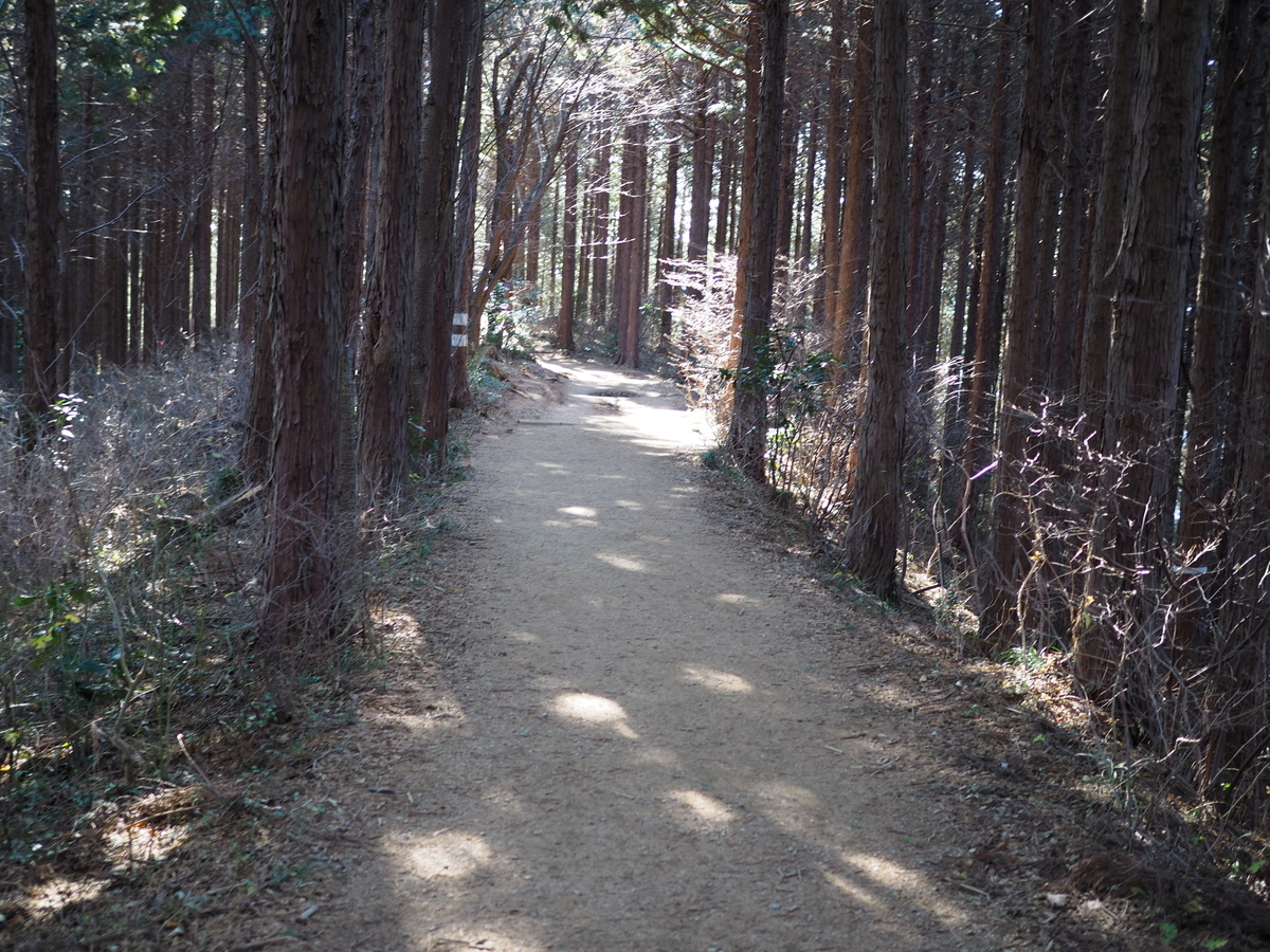 景信山　高尾山　縦走　親子