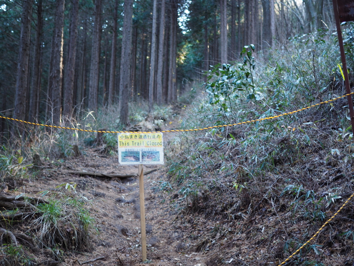景信山　高尾山　縦走　親子