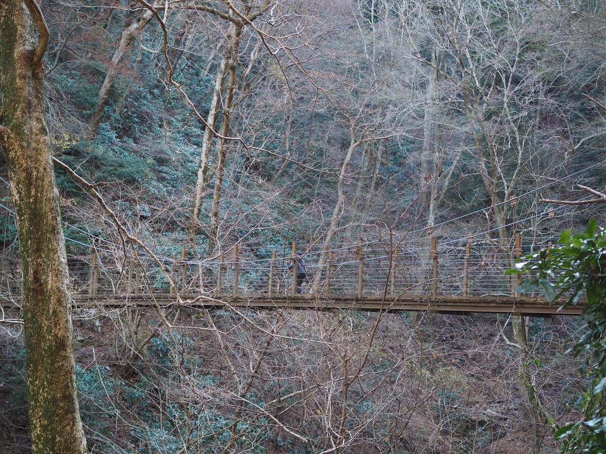 景信山　高尾山　縦走　親子