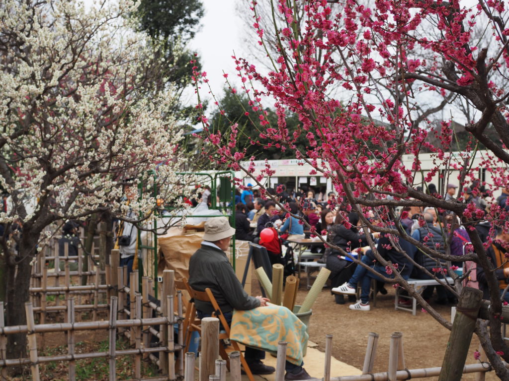 羽根木公園　せたがや梅まつり